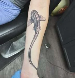 Lizard forearm tattoo in fine-line black and grey, tattooed at Nu Nebula Tattoo