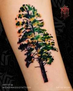 Watercolour pine tree forearm tattoo in colour, tattooed by Nick DiMaggio